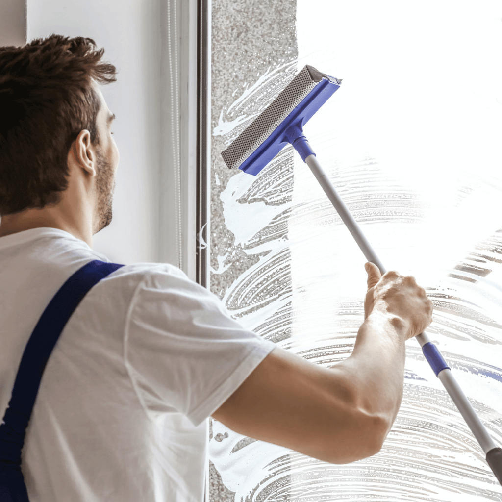 Professional Window Cleaning Service