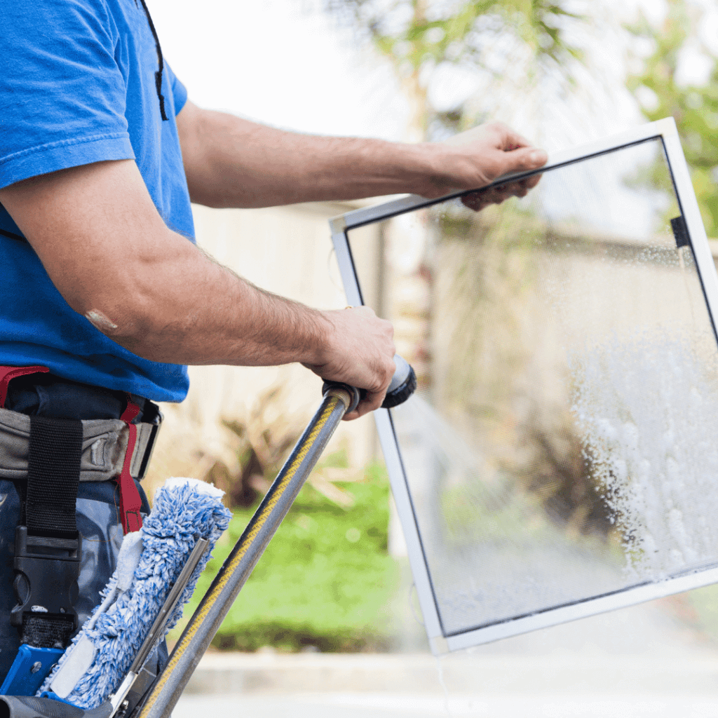 Window Screen Cleaning