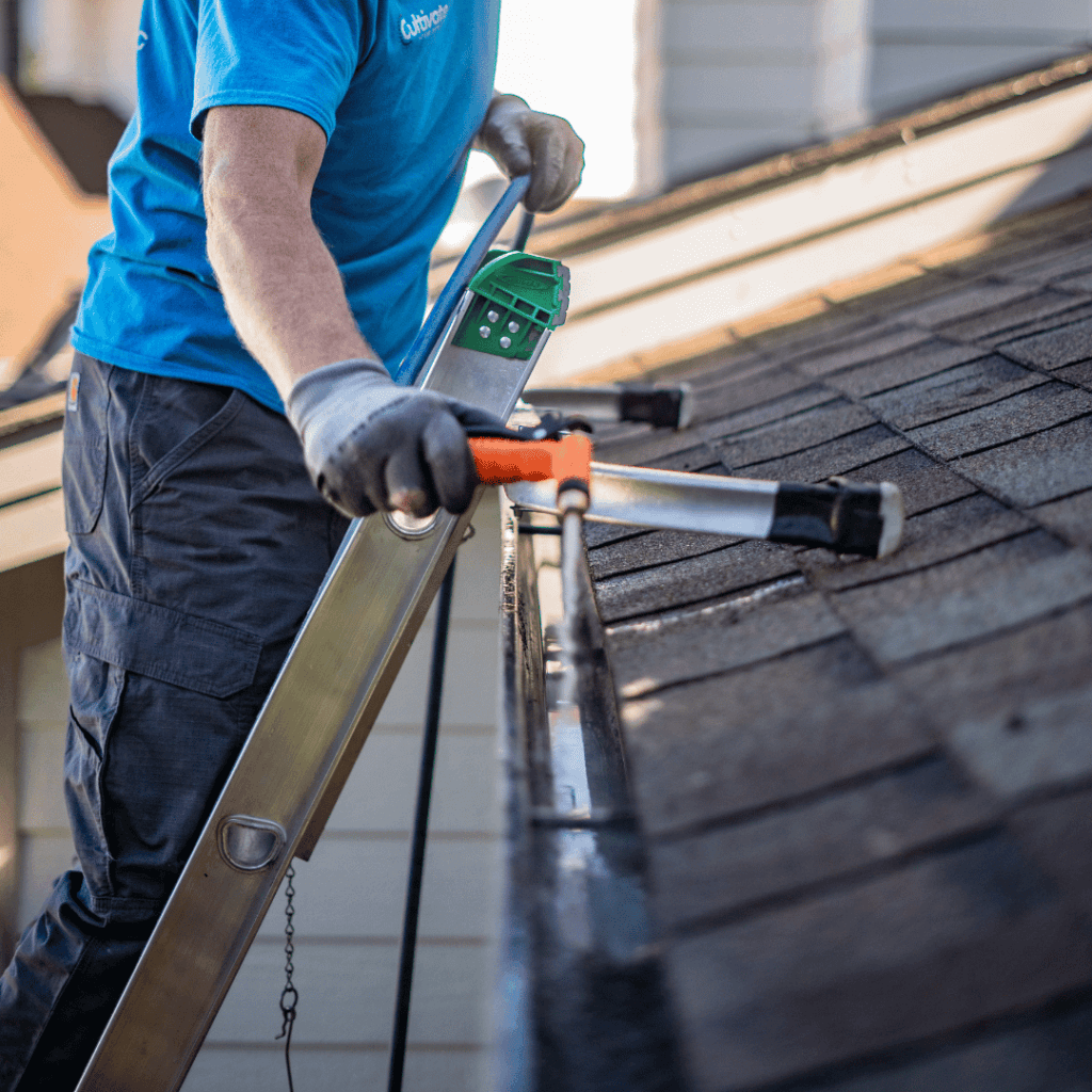 Gutter Cleaning Service 