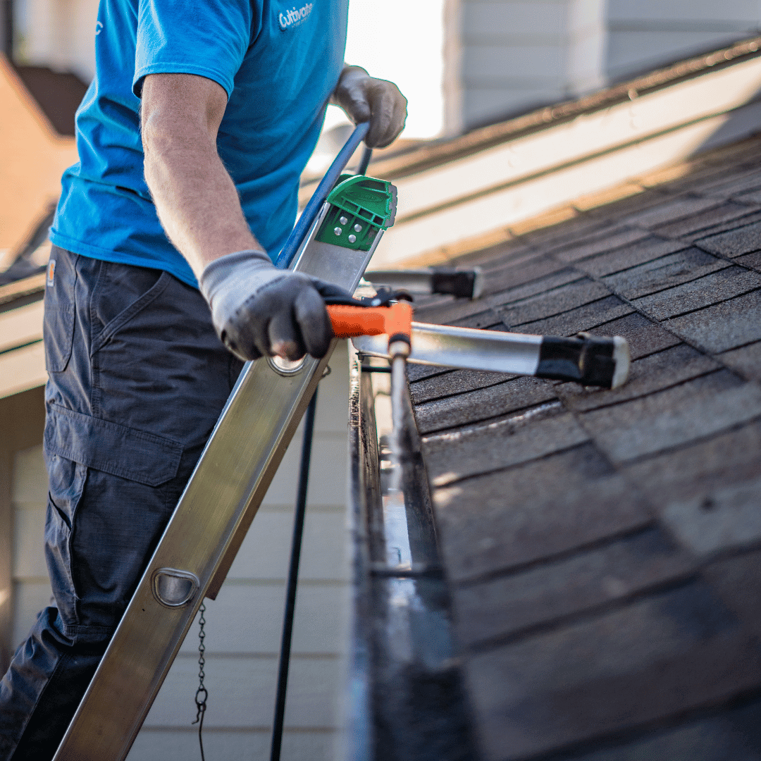Gutter Maintenance Service 
