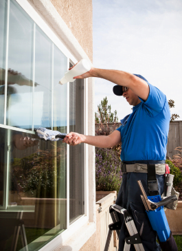 Professional Window Cleaning