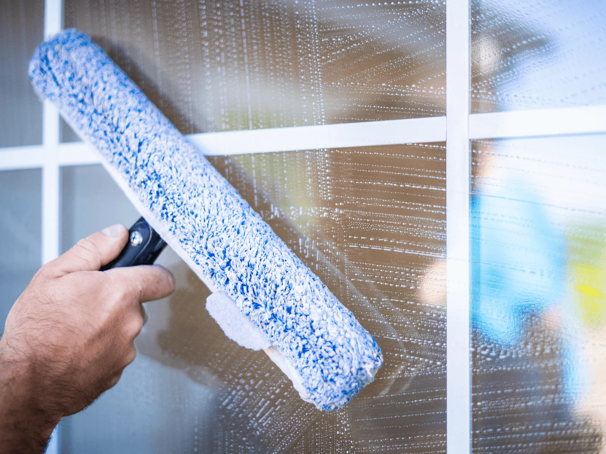 Professional Window Cleaner
