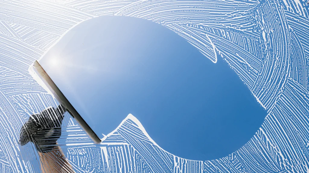 Professional Window Cleaning Service 