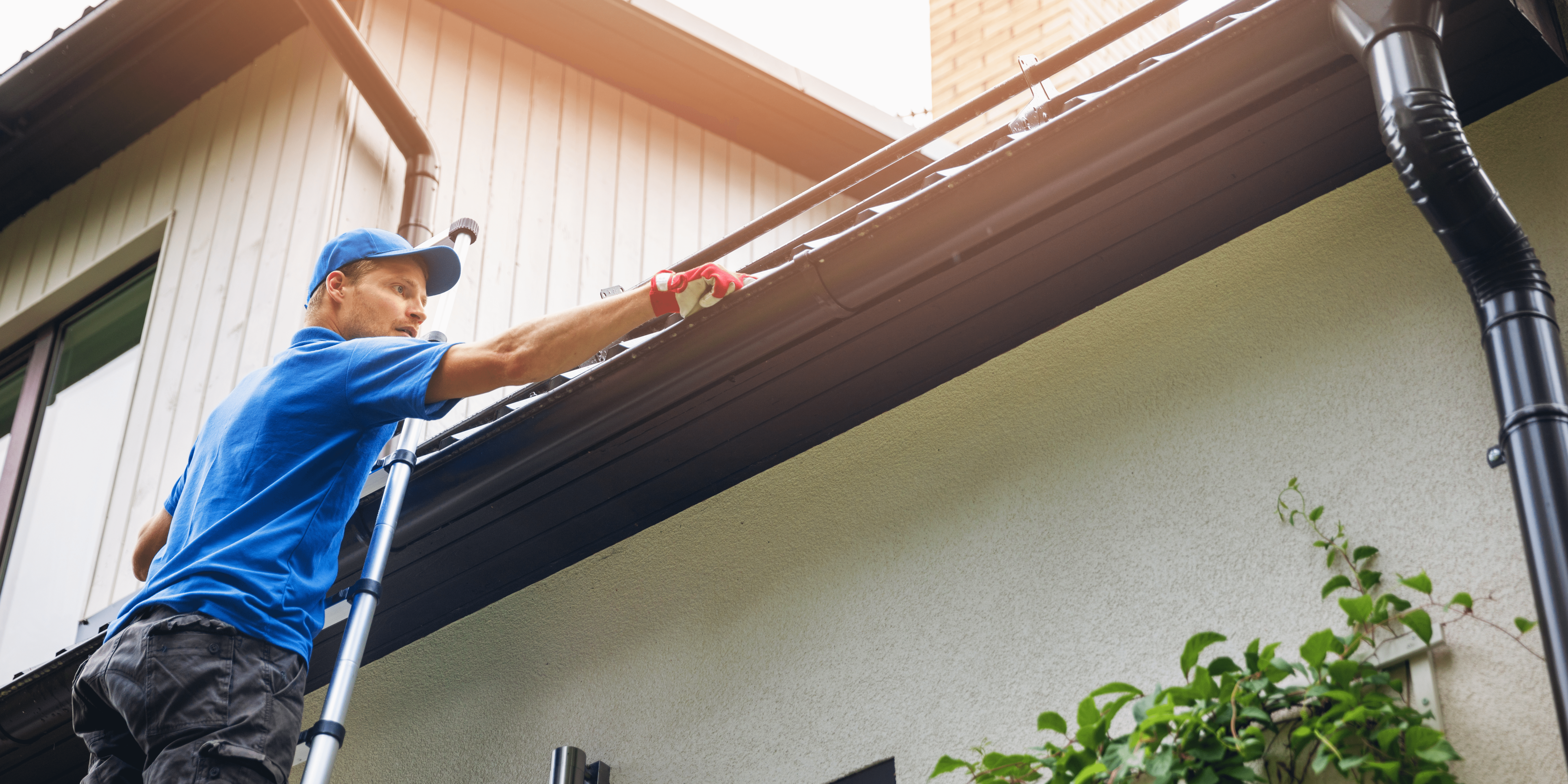 Gutter Cleaning Service 