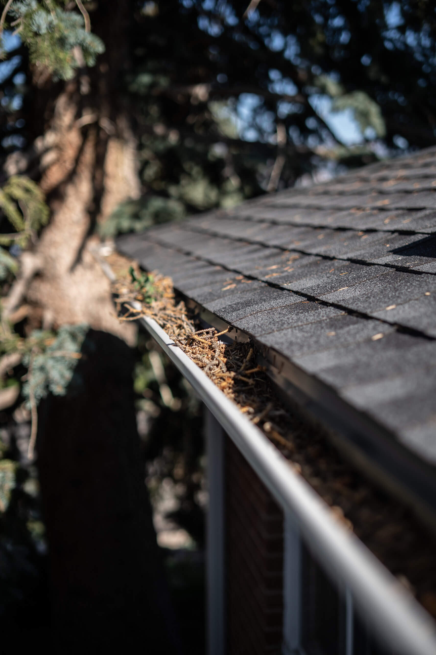 Clogged Gutters Cleaning