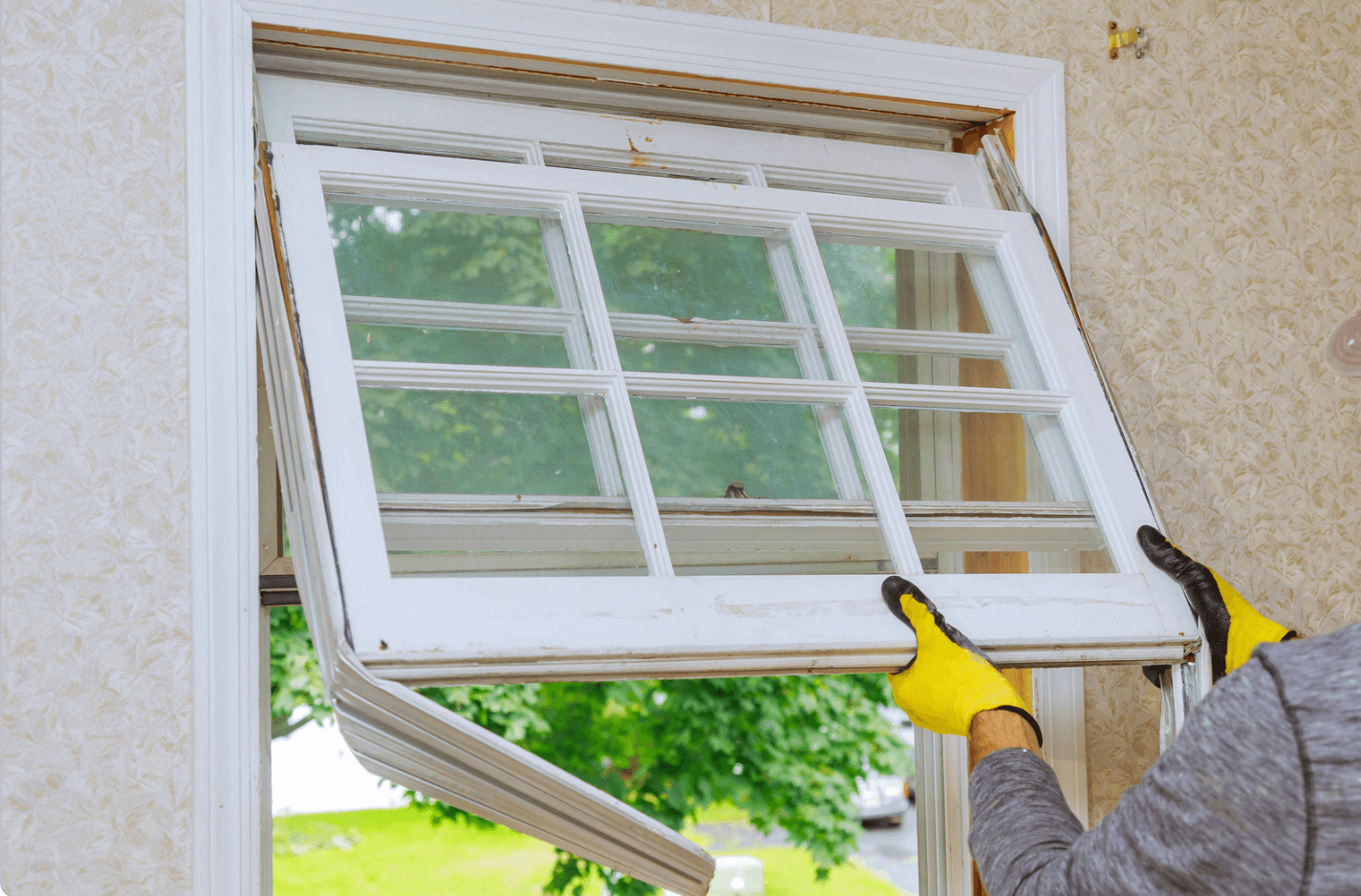 Window Cleaning Service