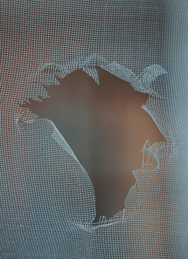 torn window screen