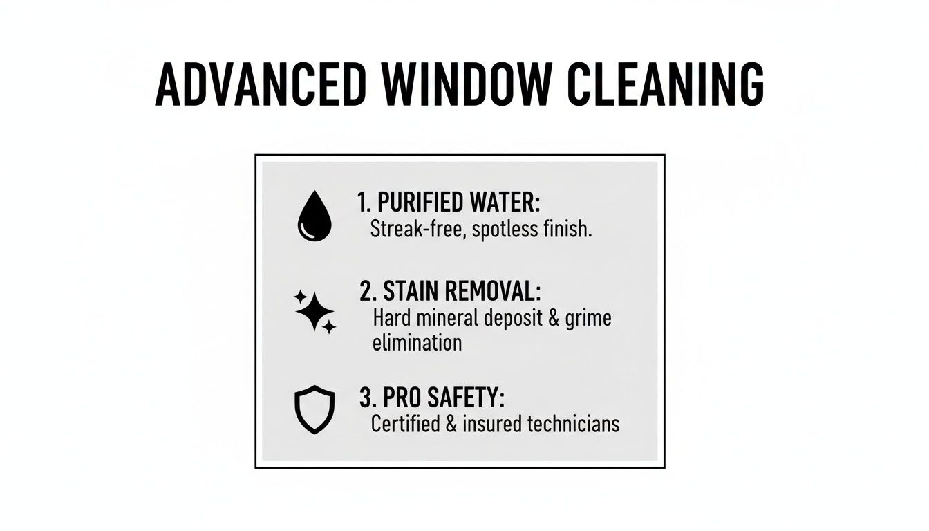 An infographic detailing advanced window cleaning services: purified water, stain removal, and professional safety.