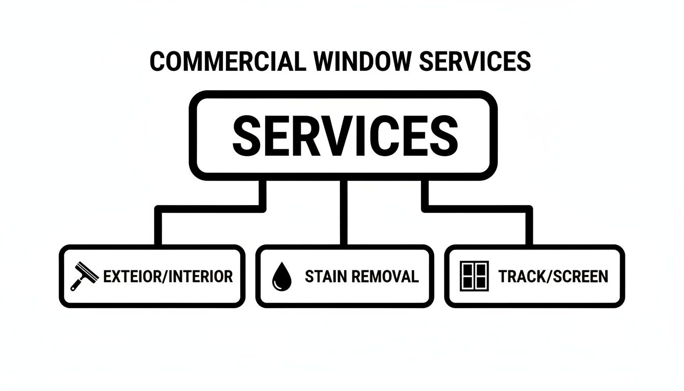 Flowchart illustrating commercial window services, including exterior/interior cleaning, stain removal, and track/screen maintenance.
