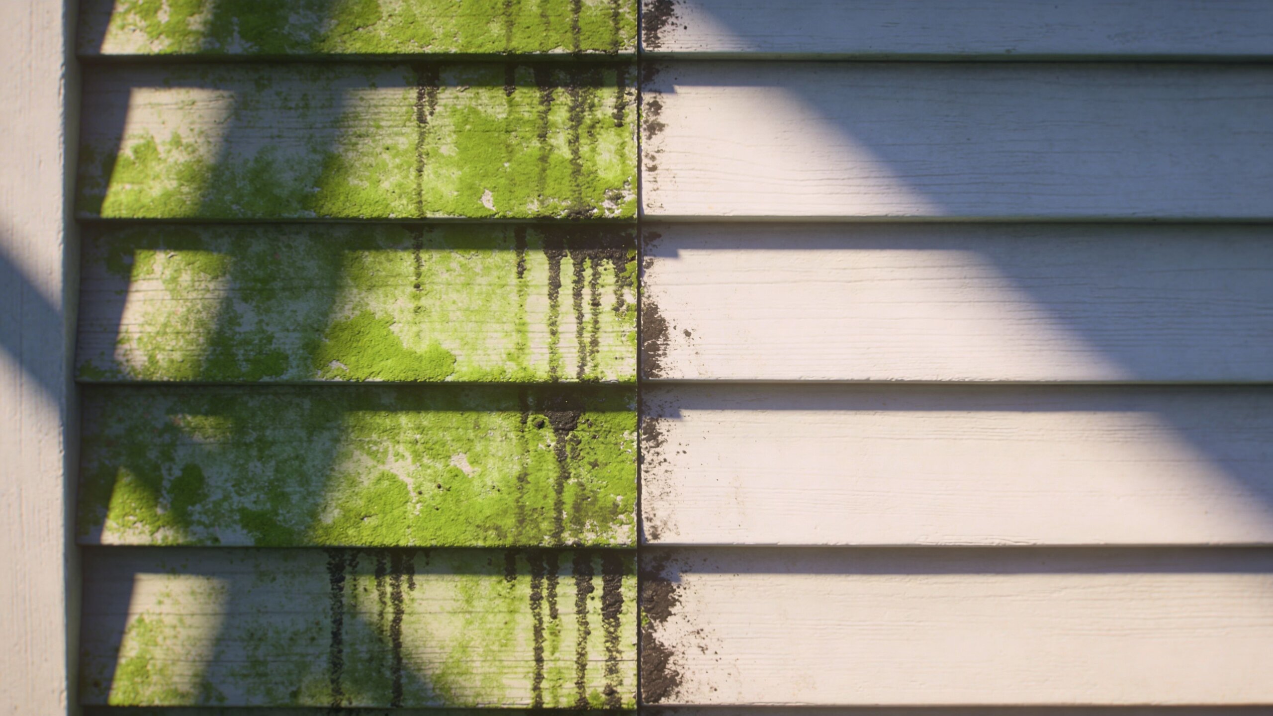 A split view showing exterior house siding partially covered in green algae alongside a cleaned, white section.