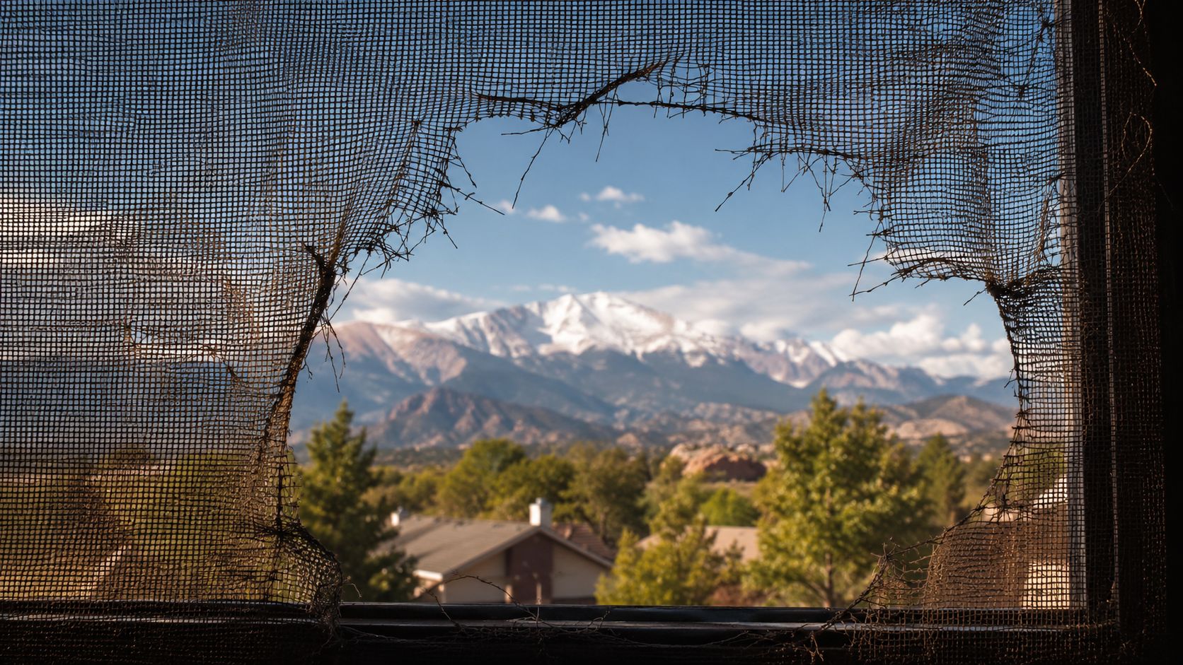 A view of snowy mountains framed by a torn, old window screen in a residential home.