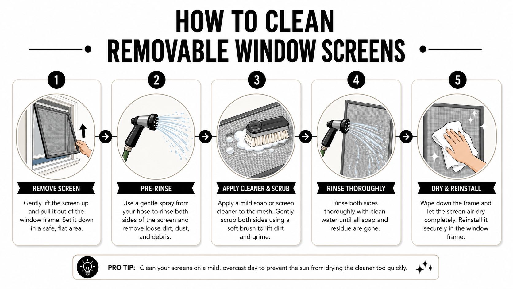 An infographic showing a five-step process for cleaning removable window screens with a pro tip.